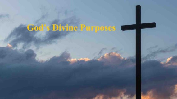 God’s Divine Purposes  | Created to be Crowned