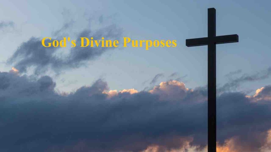 God’s Divine Purposes  | Created for God’s Pleasure